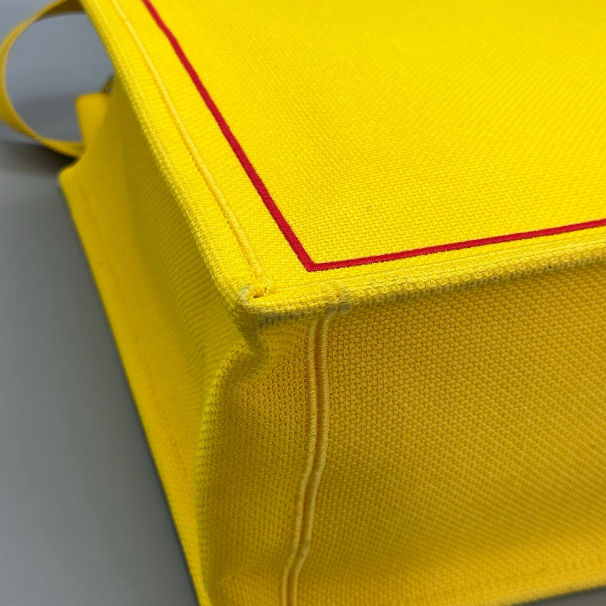 Dior Book Tote "Dracula By Bram Stoker" Embroidered Bag