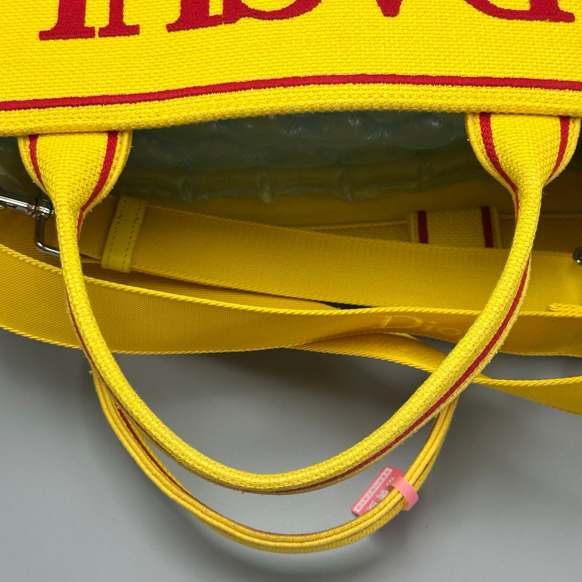 Dior Book Tote "Dracula By Bram Stoker" Embroidered Bag