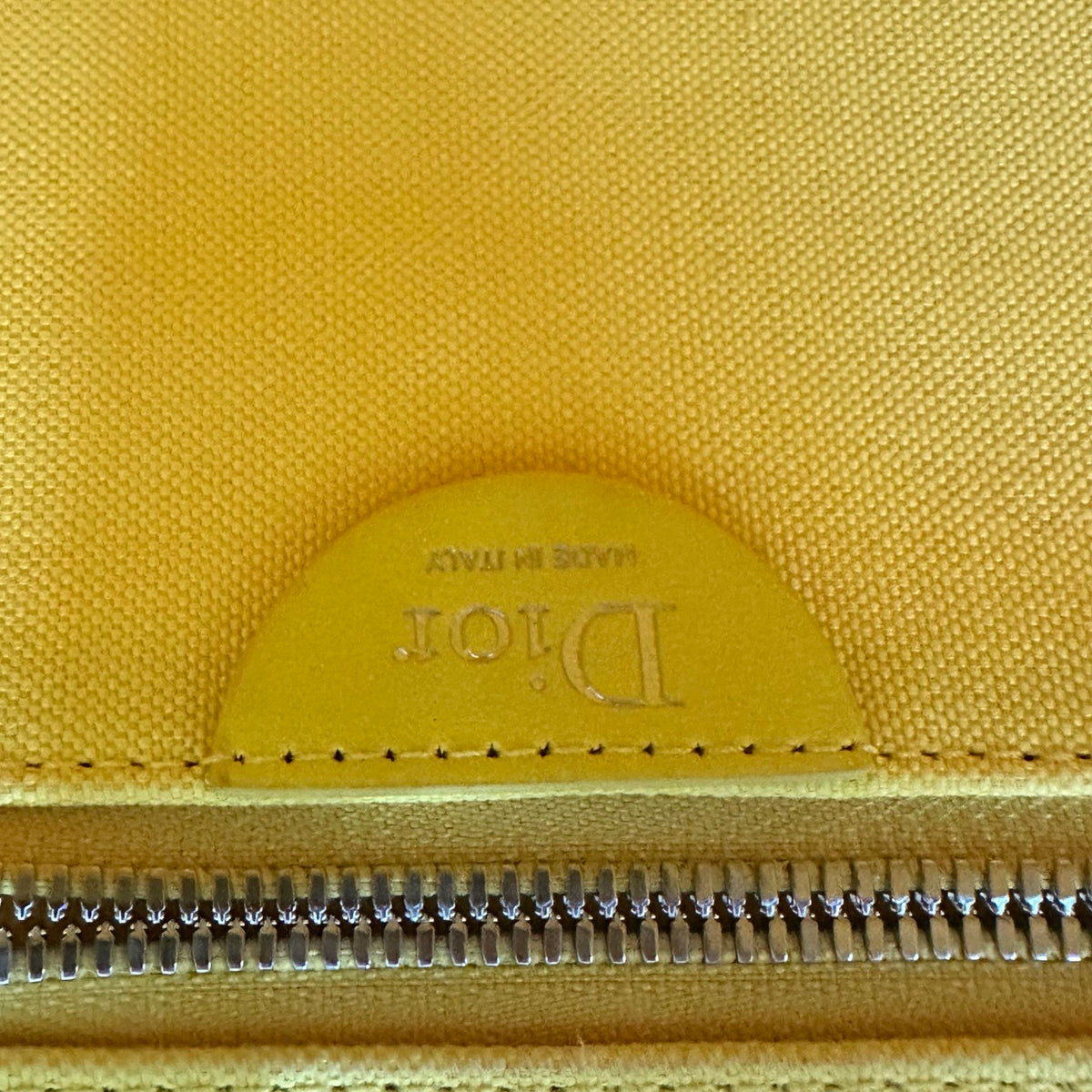 Dior Book Tote "Dracula By Bram Stoker" Embroidered Bag