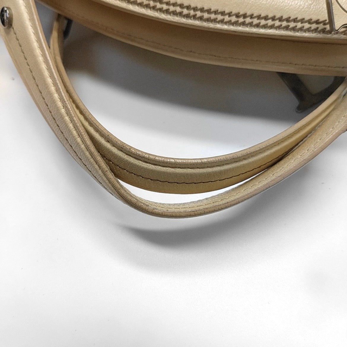 Christian Dior Romantique Floral Embroidered Trotter Canvas Bag (Dior Romantique）