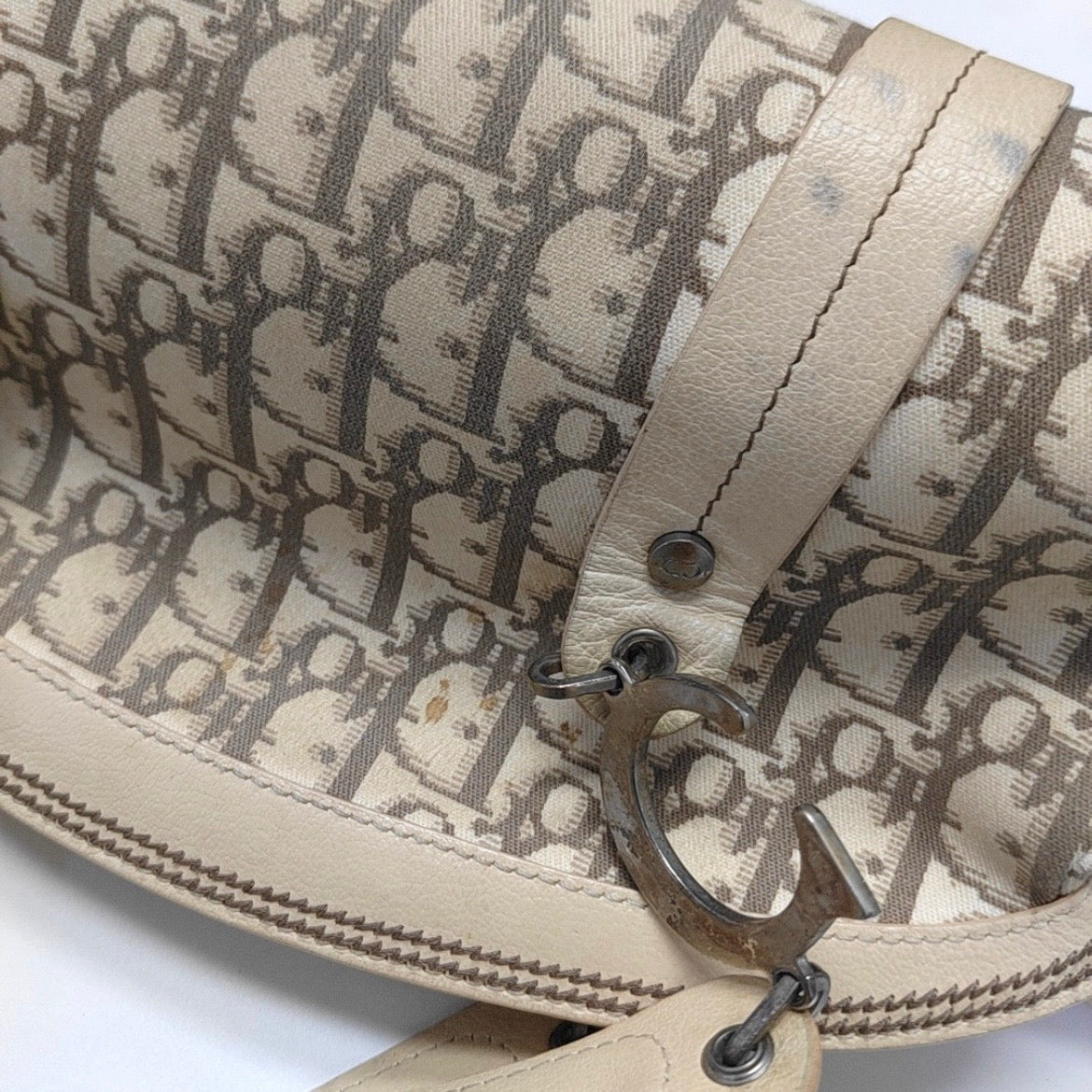 Christian Dior Romantique Floral Embroidered Trotter Canvas Bag (Dior Romantique）